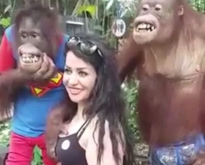 A întâlnit doi urangutani și a vrut să facă o poză cu ei.  Ce a urmat i-a făcut pe toți să râdă cu lacrimi