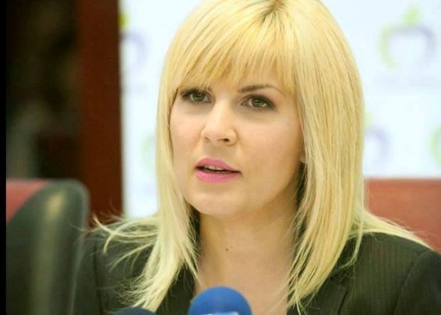 Afacerile controlate de Elena Udrea, în declin accentuat