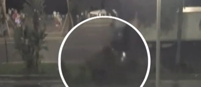 Mărturia eroului care a încercat să-l oprească pe atacatorul de la Nisa cu scuterul: Sunt doar un obișnuit, un simplu cetățean. VIDEO