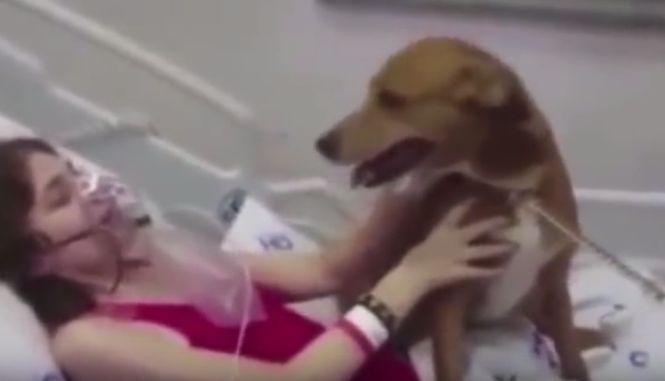 Era pe moarte și le-a cerut să-i aducă un câine lângă ea. Când animalul a atins-o, ceva uimitor s-a întâmplat