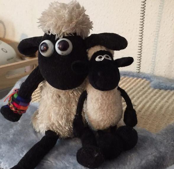 Mihaela Rădulescu s-a fotografiat cu un grup de prieteni. Toată lumea a rămas surprinsă de ceea ce ținea în mână 398556