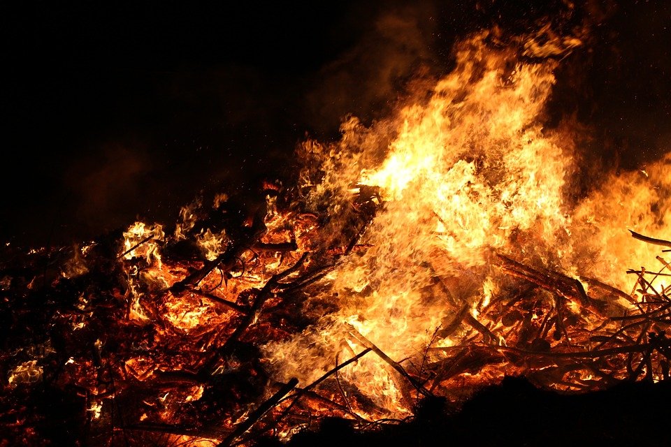 Plan de urgenţă în Portugalia: Incendiile de pădure au făcut prăpăd