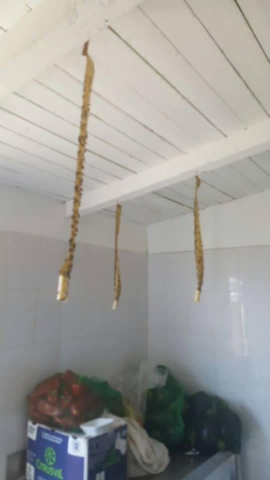 Imaginile mizeriei dintr-o terasă din Mamaia! Inspectorii ANPC au avut un șoc când au văzut ce se întâmpla departe de ochii turiștilor - GALERIE FOTO 400520