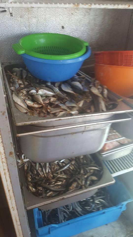 Imaginile mizeriei dintr-o terasă din Mamaia! Inspectorii ANPC au avut un șoc când au văzut ce se întâmpla departe de ochii turiștilor - GALERIE FOTO 400521