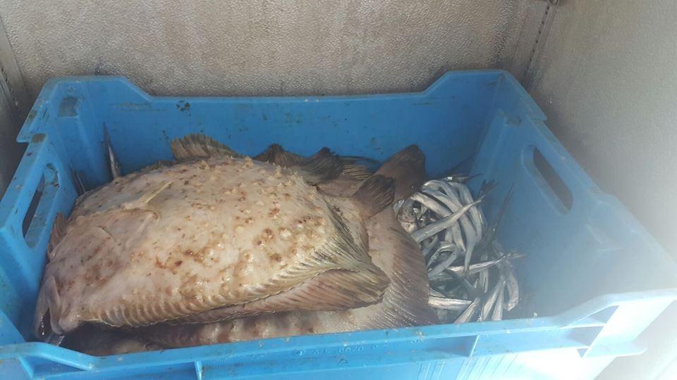 Imaginile mizeriei dintr-o terasă din Mamaia! Inspectorii ANPC au avut un șoc când au văzut ce se întâmpla departe de ochii turiștilor - GALERIE FOTO 400522