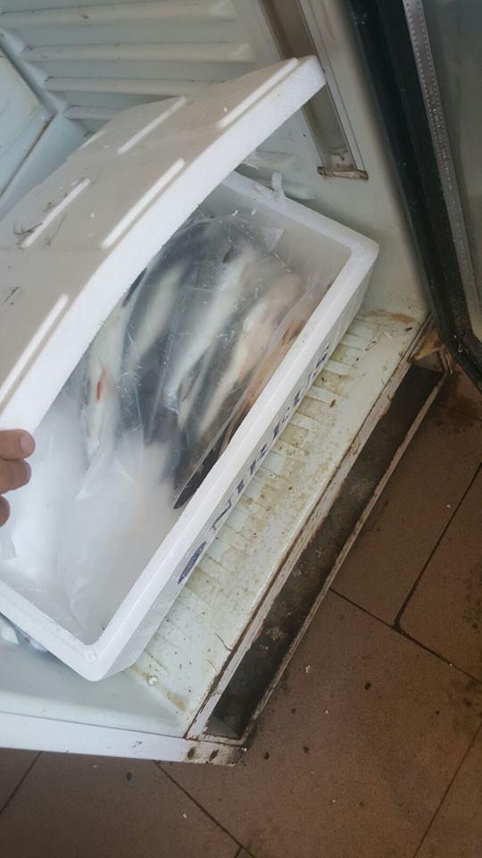 Imaginile mizeriei dintr-o terasă din Mamaia! Inspectorii ANPC au avut un șoc când au văzut ce se întâmpla departe de ochii turiștilor - GALERIE FOTO 400524