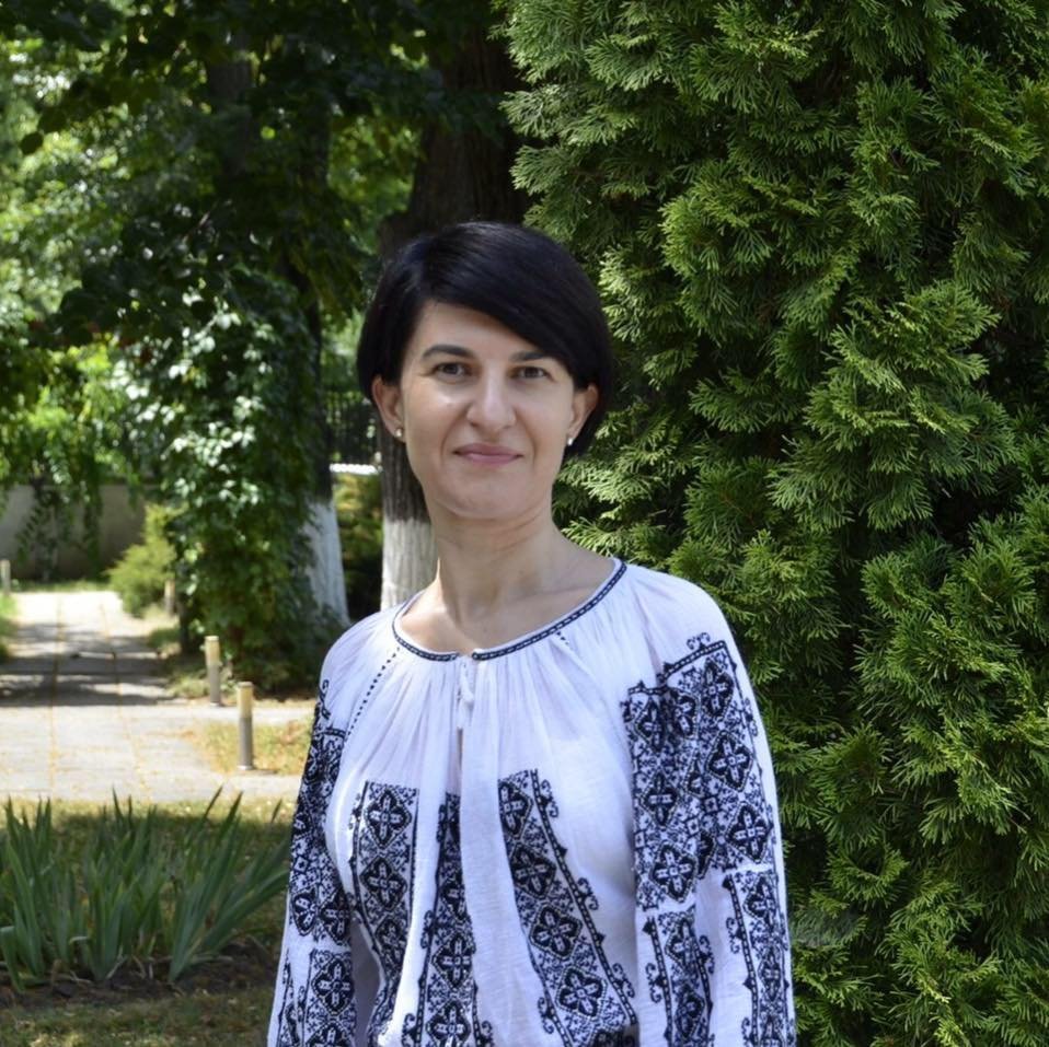 Ministrul Violeta Alexandru: Domnul Tariceanu nu are dreptate. În țara în care imi cresc copilul, stau la coadă, indiferent de funcție