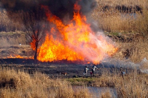 Risc major de incendii de vegetaţie în Bulgaria. Autoritățile sunt în alertă