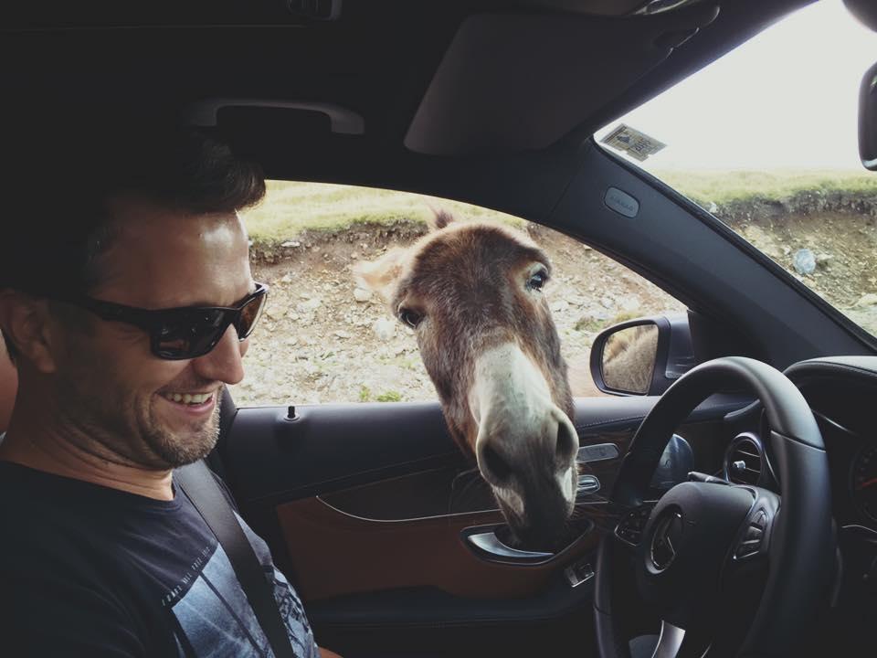 Ce a patit Andi Moisescu azi pe Transalpina: “Habar n-am cine-i tipu', că nu-mi pierd timpul cu prostii la televizor. Vreau doar…” 403211