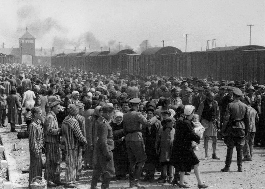Descoperire înfiorătoare în arhivele unui institut de cercetare din Germania. ”Aparțin prizonierilor exterminați în lagăre!” 