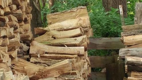 Testul pe care puțini îl pot trece. Tu poți găsi pisica din această imagine? 403492