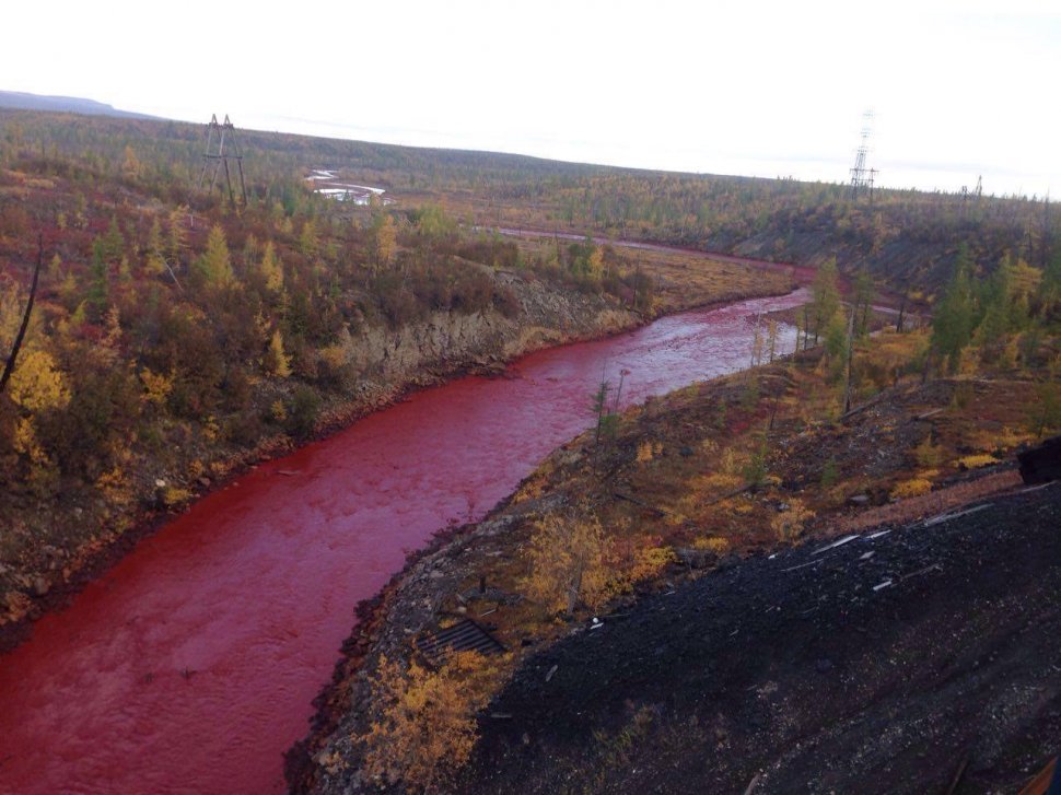 Panică într-un oraș din Rusia, după ce apele unui râu au devenit sângerii