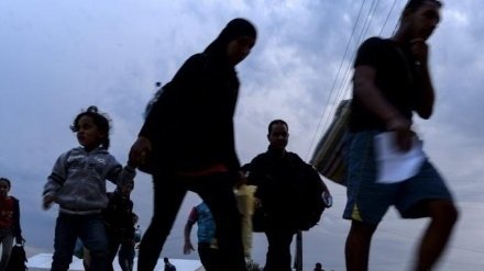 20 de migranţi, capturaţi la Arad în timp ce voiau să treacă graniţa
