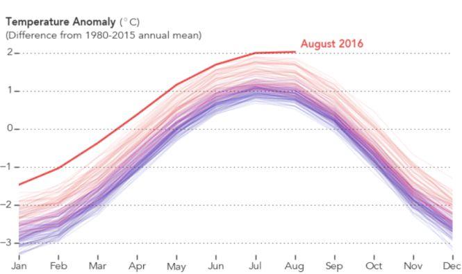 Record de căldură în luna august. S-au înregistrat cele mai ridicate temperaturi din 1880 şi până în prezent 405298