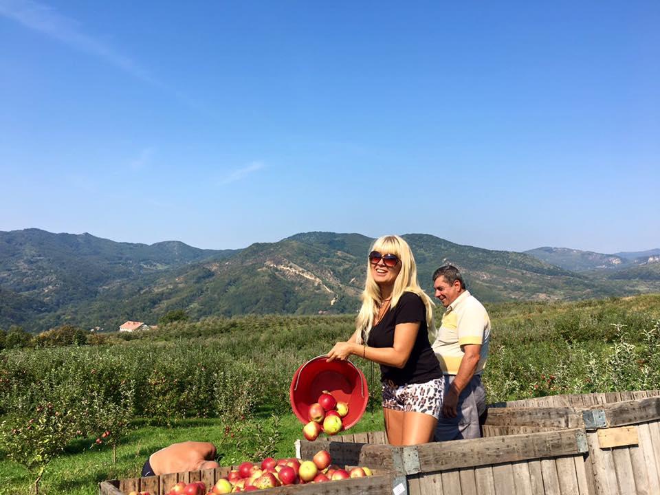 Elena Udrea, la cules de mere. Cum s-a fotografiat în livada unui apropiat  405749