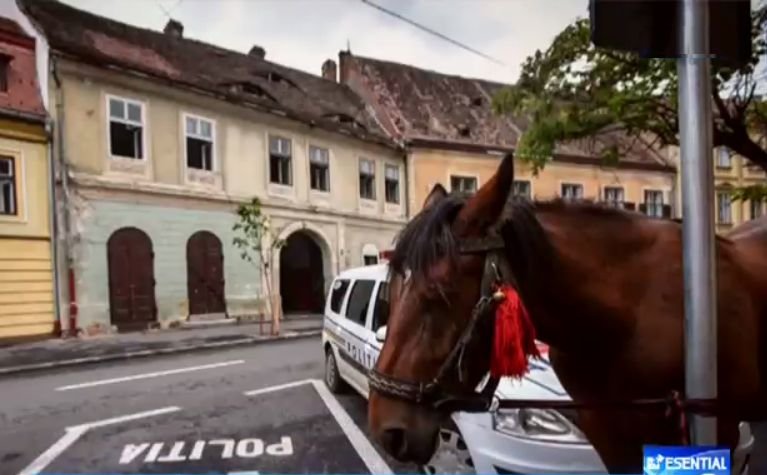 Imaginea care a adunat mii de like-uri pe Facebook! Cum a ajuns un cal să fie ”parcat” pe locul poliției, la Sibiu