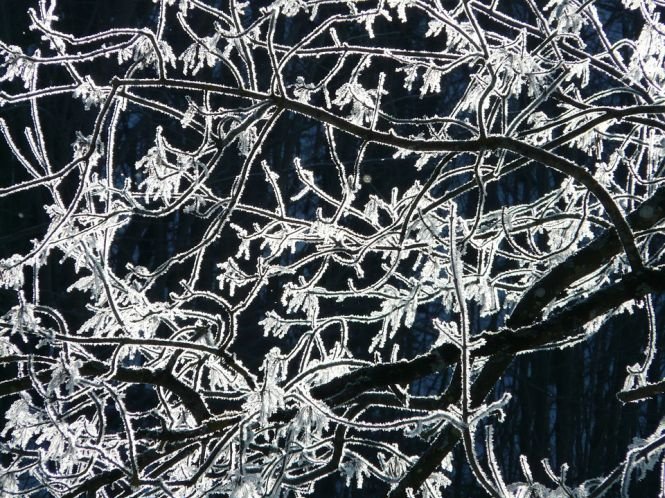Avertismentul meteorologilor europeni: Iarna aceasta va fi cea mai friguroasă din ultimul secol