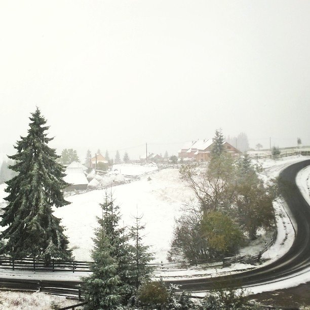 UPDATE. Au ajuns ninsorile. Unde ninge acum în România - FOTO/VIDEO