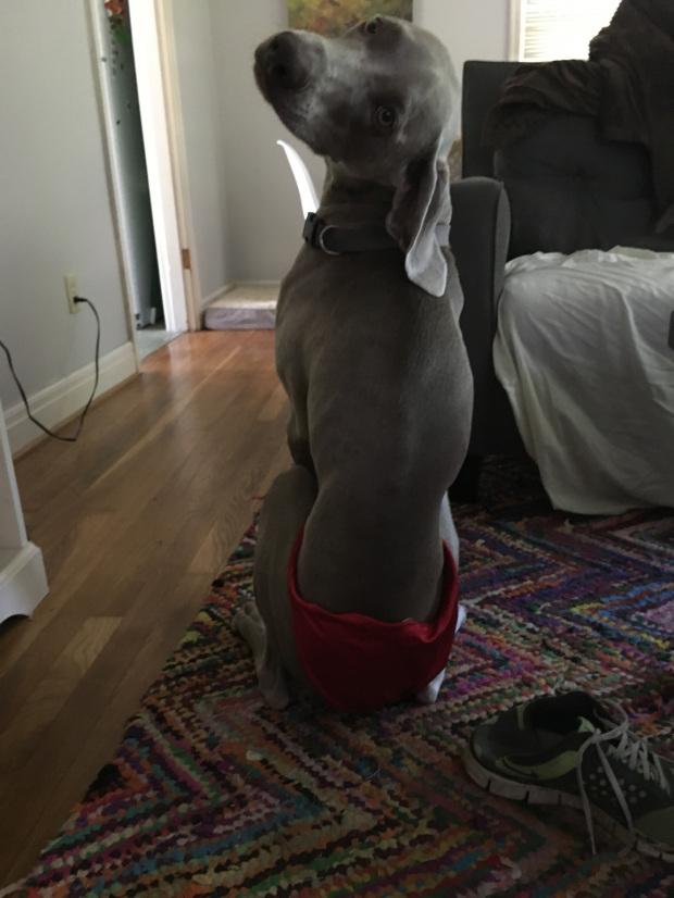 Si-a rugat iubita sa-i trimita o poza deocheata cu lenjerie intima, insa cand a deschis-o… Ce detaliu a aparut in imagine  410033