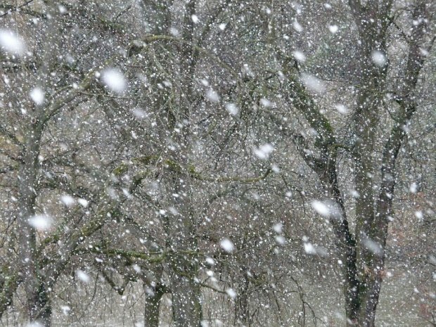 Meteorologii au emis cod galben de ninsori pentru mai multe zone din țară