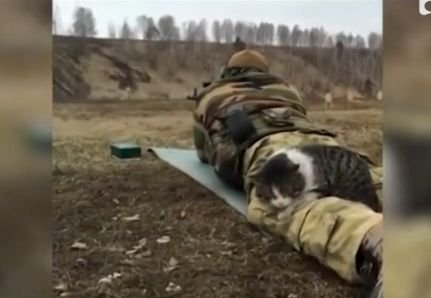 O felină care și-a făcut culcuș pe picioarele unui soldat face senzație pe Internet. Imaginile au devenit virale