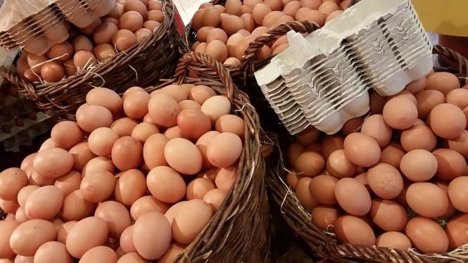 Jumătate din cantitatea de ouă cu salmonella a fost comercializată. Ce recomandă autoritățile