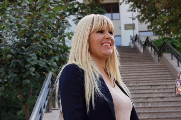 Elena Udrea vrea ca SRI să se implice în dosarul 'Gala Bute'