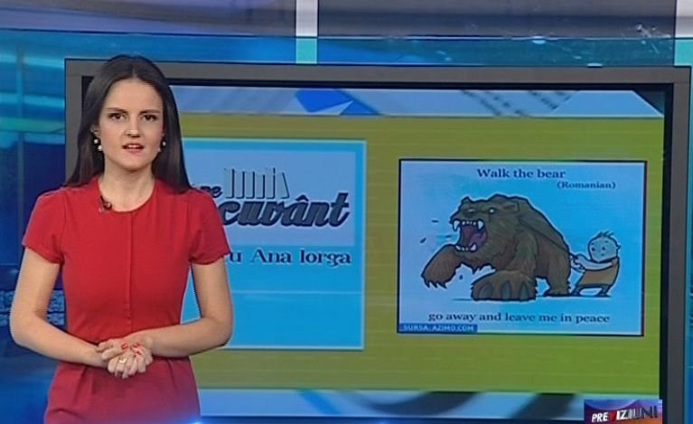 Pe cuvânt cu Ana Iorga: Ursul din expresiile din limba română