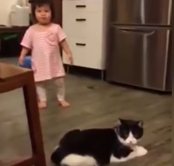O pisică îi pune piedică unei fetițe. Clipul care a făcut milioane de oameni să râdă - VIDEO