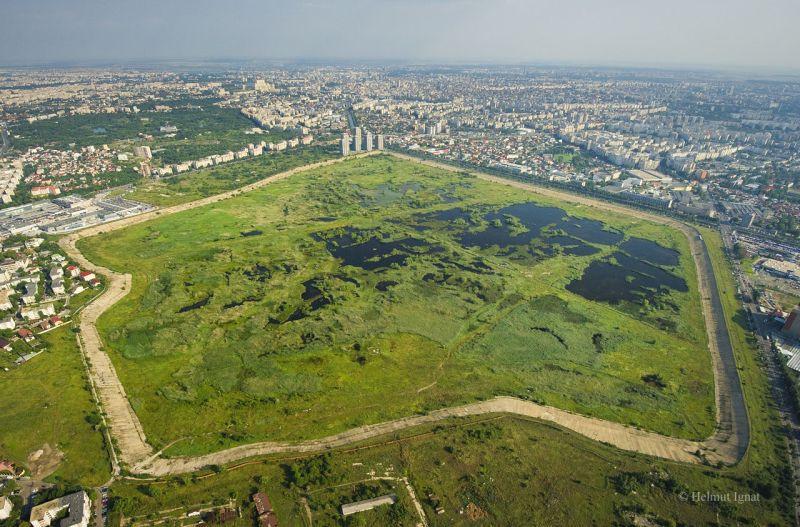 Natura la ușa ta! O viziune pentru dezvoltarea Parcului Natural Văcărești în interes public 414219