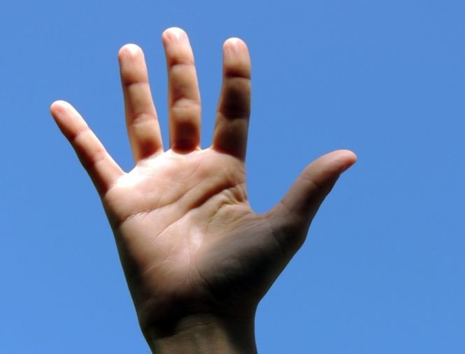 Oamenii de ştiinţă au făcut o descoperire „şocantă”. De ce au mâinile oamenilor forma actuală?