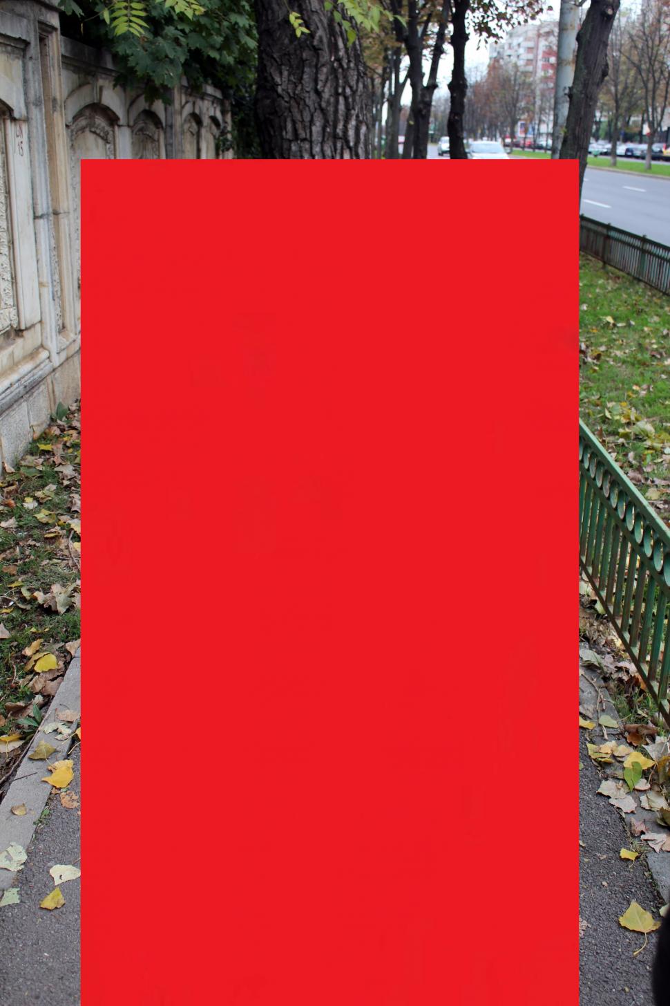 Ce a apărut pe o stradă intens circulată din București 414670