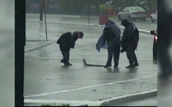 Ce a apărut în mijlocul unui drum, după inundații. Trecătorii s-au speriat cumplit (Foto) 414782