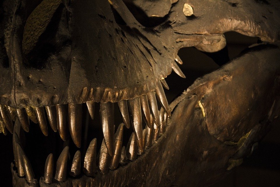 Descoperire epocală: Fosila unei noi specii de dinozaur, găsită în stare foarte bună. A fost însă la un pas să fie distrusă
