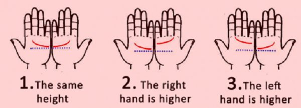 Uneste-ti mainile si observa daca aceste linii din palma se aliniaza! Uite ce inseamna!
