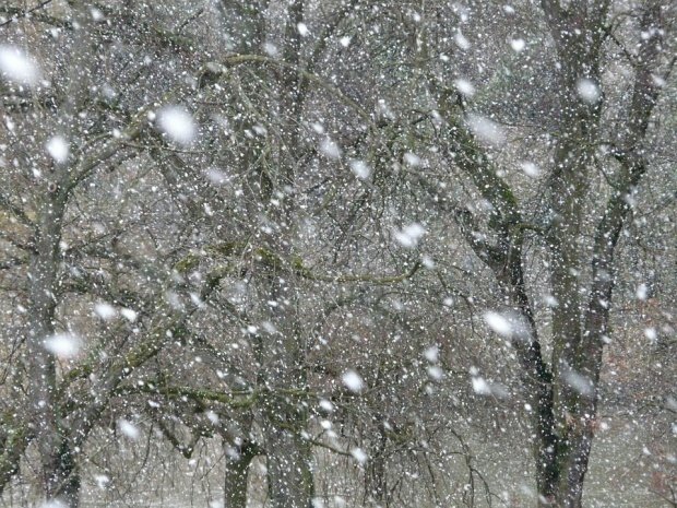 Au căzut primii fulgi de zăpadă în Capitală. Cum va fi vremea în zilele următoare