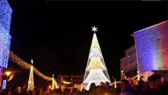 Primăria Târgu Jiu a plătit 100.000 de euro pentru bradul de Crăciun
