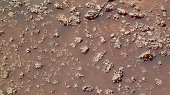 S-a descoperit dovada vieții pe Marte? Cercetătorii au văzut detalii incredibile în aceste imagini 
