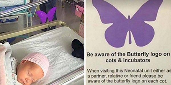 Atenție! Dacă vezi vreodată acest fluture mov pe patutul bebelușului, nu-i întreba niciodată pe părinți despre el!