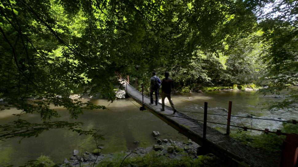 Cel mai recent episod Wild Carpathia și un mesaj exclusiv de la Prințul Charles, azi, la Antena 3 420120