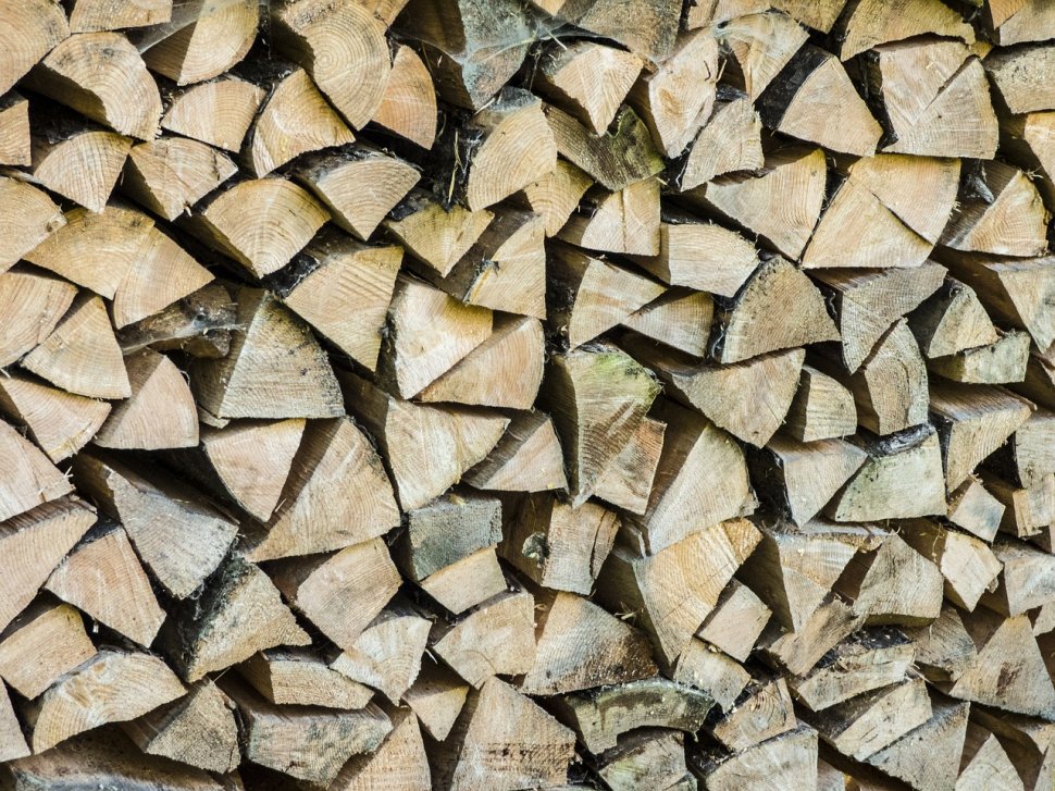Compania Holzindustrie Schweighofer, acuzată de comerț ilegal cu lemn