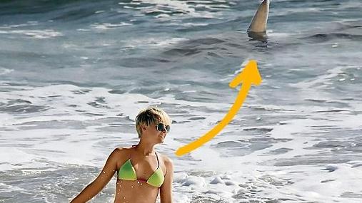 Oamenii de pe plajă îi făceau semne disperate, dar tânăra nu știa că se află la un pas de moarte. Când a văzut ce era lângă ea a avut un șoc 420906