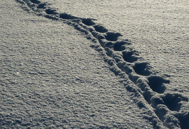 Locul din România în care zăpada are aproape o jumătate de metru 421519