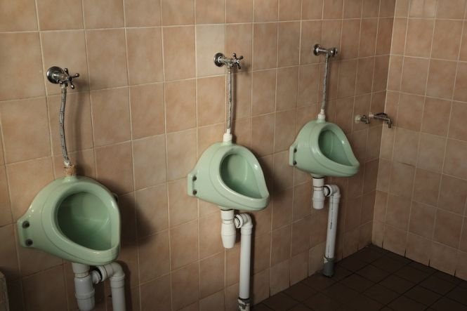 Cele mai scumpe WC-uri din ţară, în Vrancea. Costă cât trei apartamente
