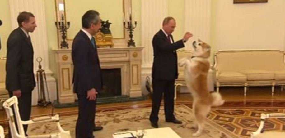 Vladimir Putin a mers la o întâlnire oficială cu unul dintre câinii săi. Ce s-a întâmplat când patrupedul a început să latre la gazde
