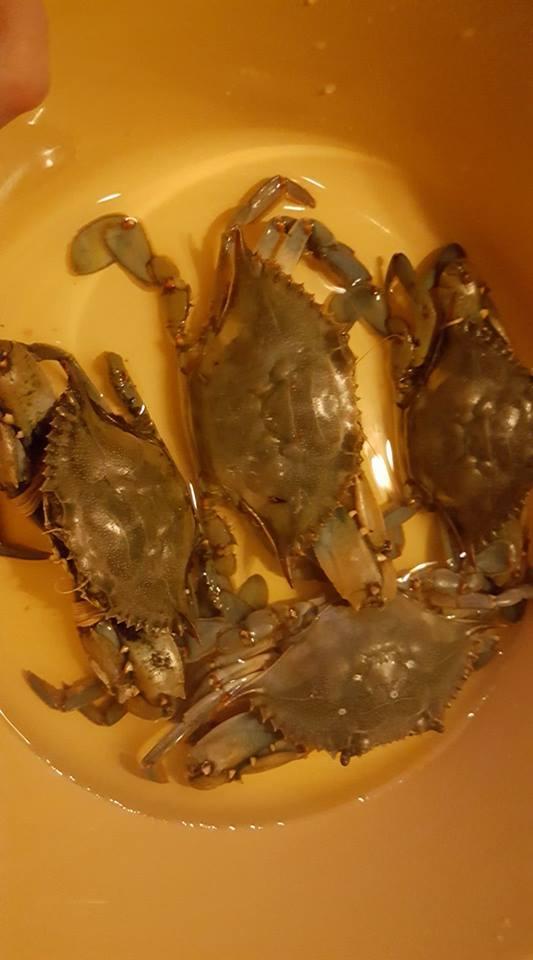  Gest ireal făcut de iubita lui Remus Cernea 423762