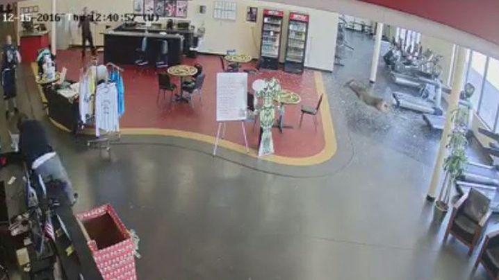 Apariție neașteptată într-o sală de fitness (VIDEO) 423922