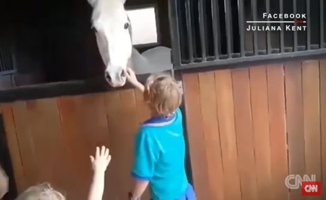 Un copil a muncit doi ani, ca să-și cumpere un ponei. Reacția băiețelului când a văzut animalul - VIDEO