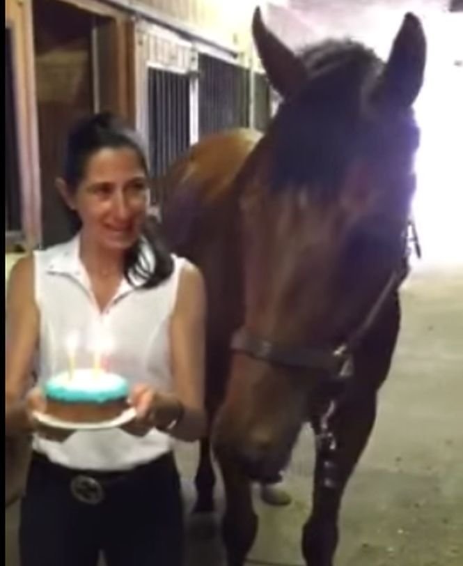I-au adus calului un tort de ziua lui. Nimeni nu se aștepta ca animalul să facă asta - VIDEO