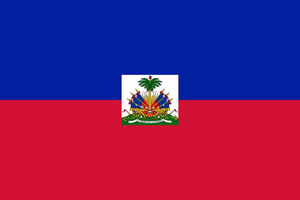 Republica Haiti are preşedinte. Jovenel Moise a câştigat alegerile cu 55,60 %